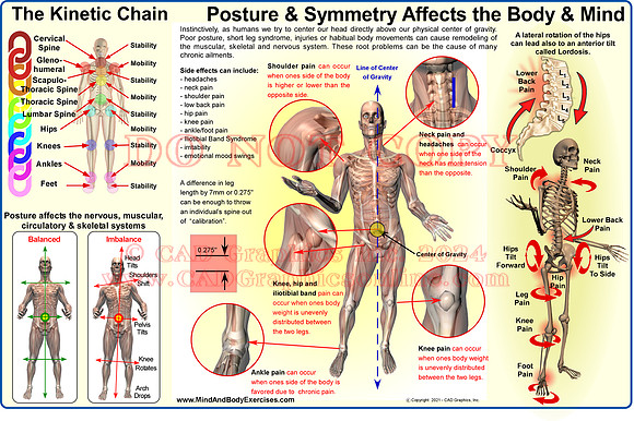 Kinetic Chains & Posture