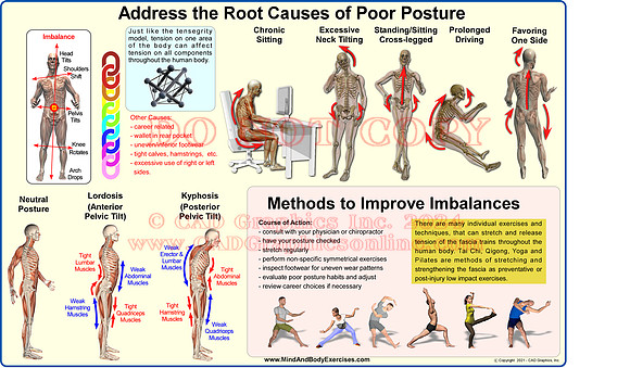 Address the Root Causes of Poor Posture