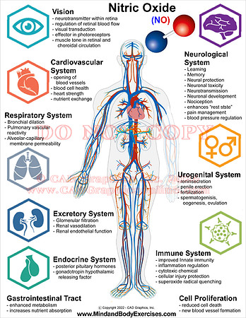 Nitric Oxide graphic