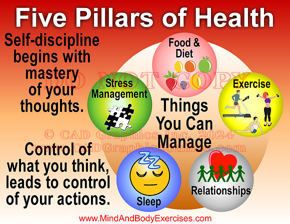 5 Pillars of Health