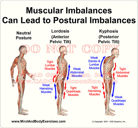 Posture4