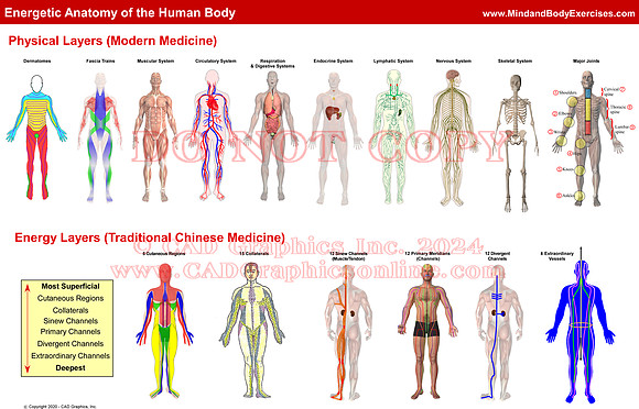 Energetic Anatomy-summary graphic