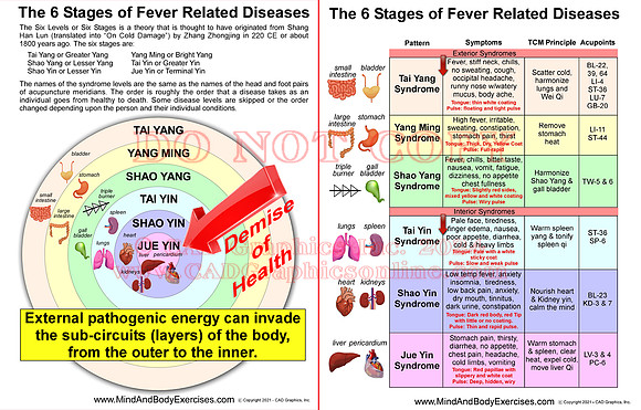 6 Stages of disease-2across