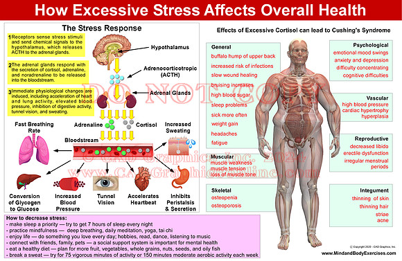 autonomic nervous system-comparison-page2