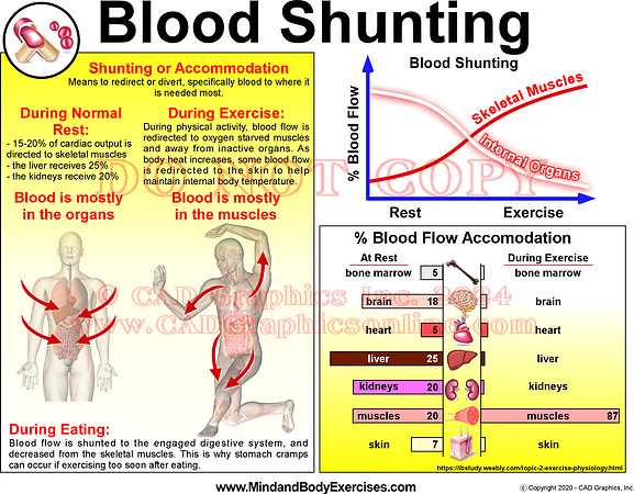 Blood Shunting2