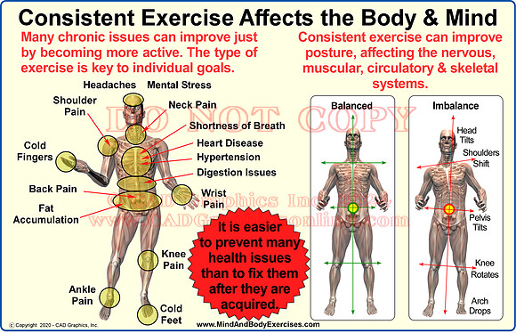 Consistent Exercise Affects the Body & Mind