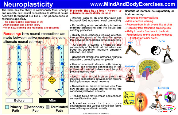 Brain Plastcity