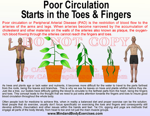 Poor Circulation