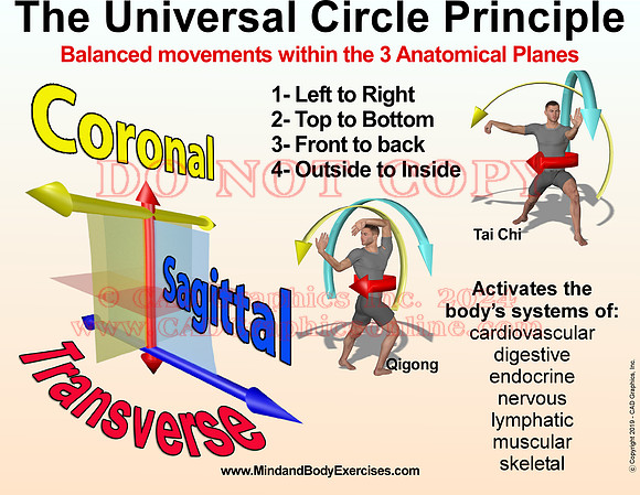 Universal Circle Principle with examples2