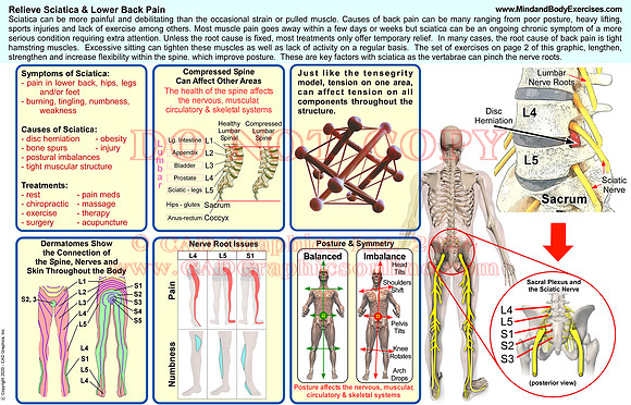 sciatic anatomy page1