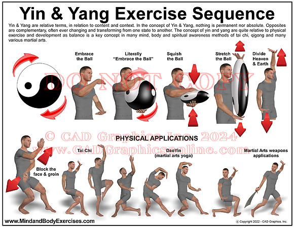 Ying-yang  Exercise Sequence