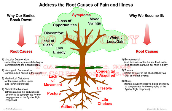 Address the Root Causes of Pain and Illness