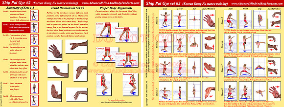 Pal Gye 2 (stance training)
