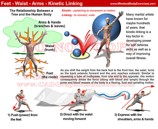 Feet-waist-arms
