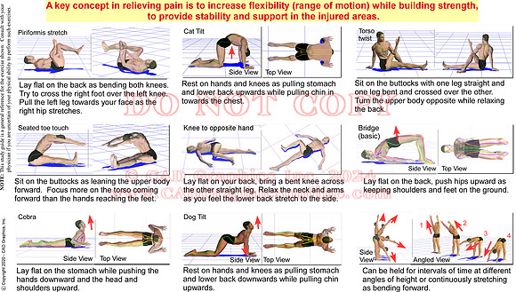 sciatic anatomy-exercises