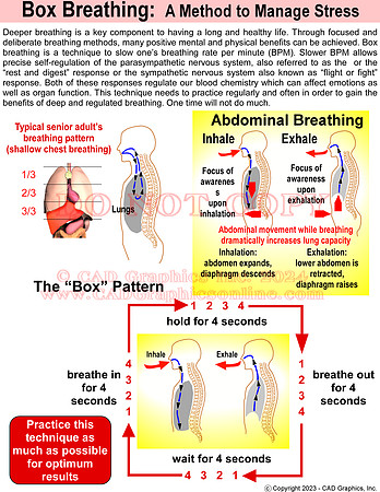 Box Breathing1
