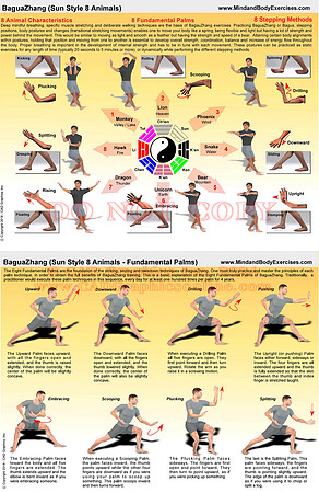 BaguaZhang-Sun Style 8 Animal Palms