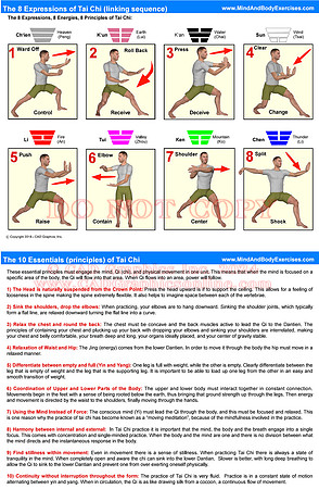 Tai Chi 8 Expressions-Linking set