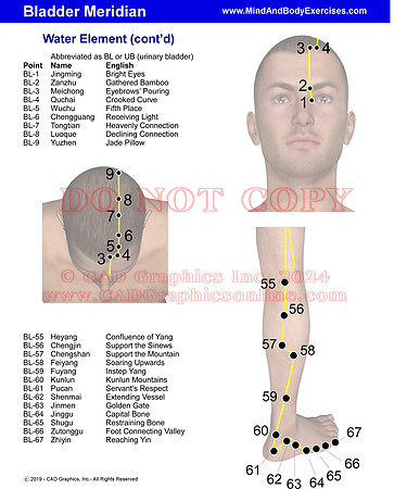 Meridian-Bladder-page2of2