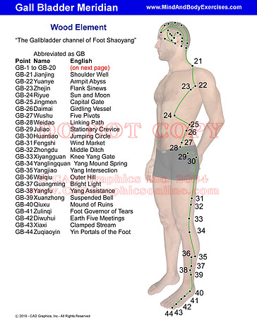 Meridian-Gall Bladder-page1of2