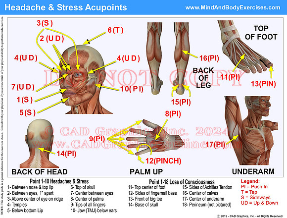 Headache & Stress Acupoints