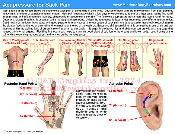 Acupressure for Back Pain