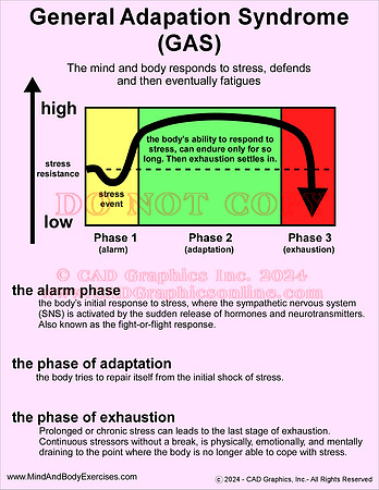 General adaption syndrome-2