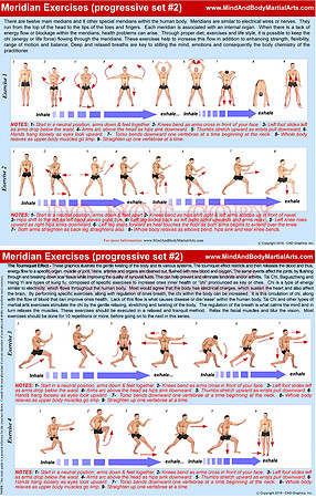 Meridian Exercises-progressive set 2