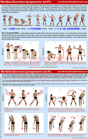 Meridian Exercises-progressive set 1