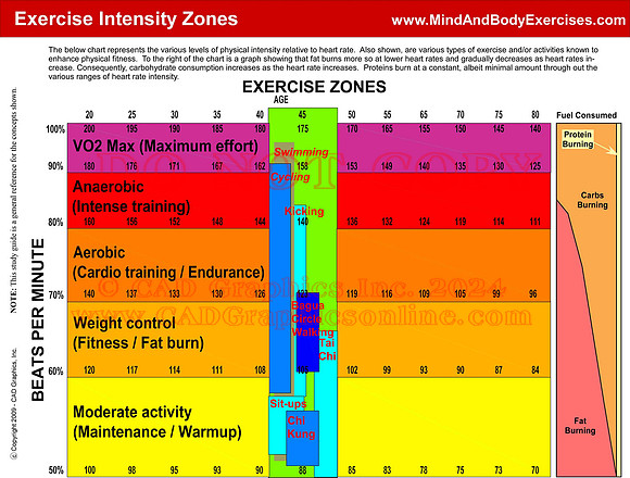 Exercise Intensity Zones