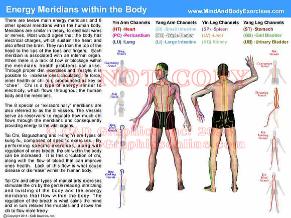 Energy Meridians within the Body