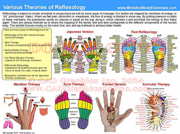 Various Theories of Reflexology