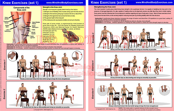 Knee Exercises-set1