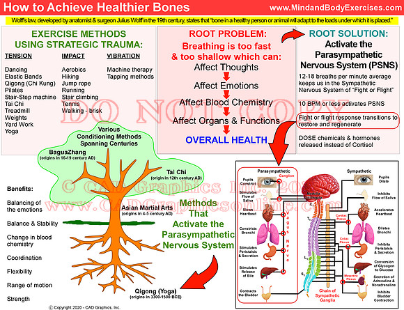 Better Bones graphic