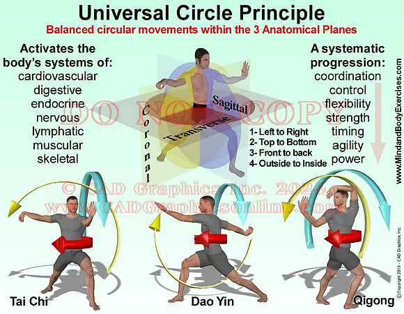 Universal Circle Principle with examples
