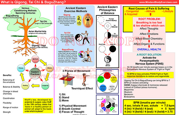 What is Tai Chi, Qigong & BagauZhang