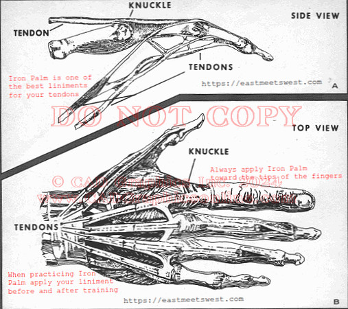 Hand internals