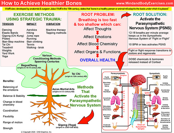 Better Bones graphic