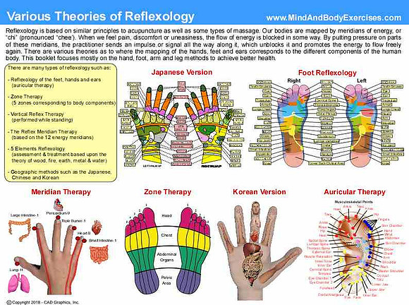 Various Theories of Reflexology