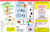 Resources