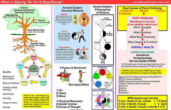 What is Tai Chi, Qigong & BagauZhang