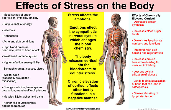 Cortisol Side Effects