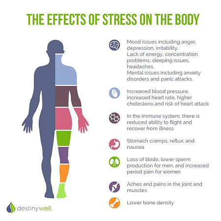 Effects of stress
