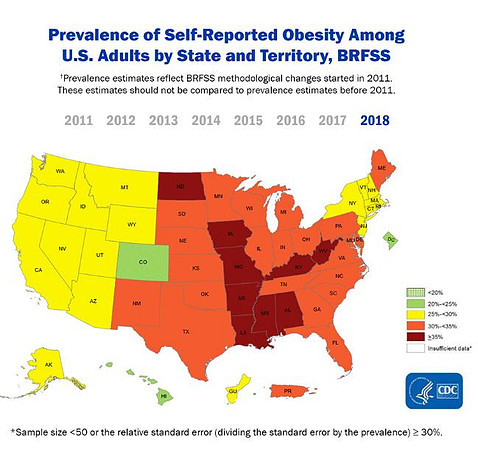 Obesity 2018 map