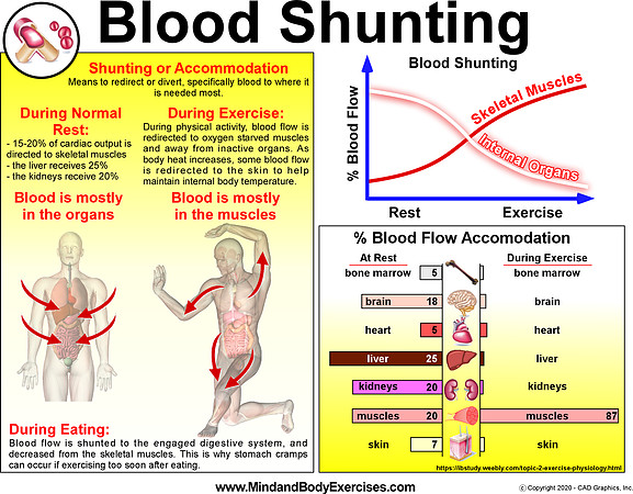 Blood Shunting2