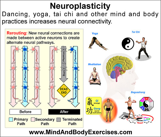 Brain Plastcity3