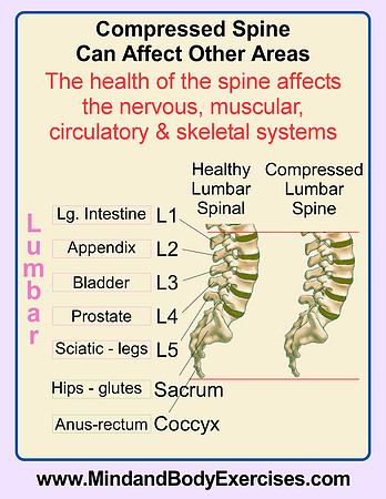 Compressed spine