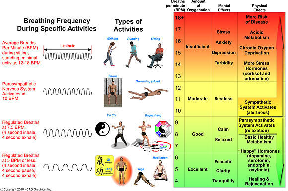 Breathing Frequency
