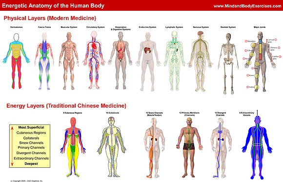 Energetic Anatomy-summary graphic copy
