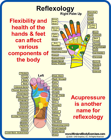 Reflexology2